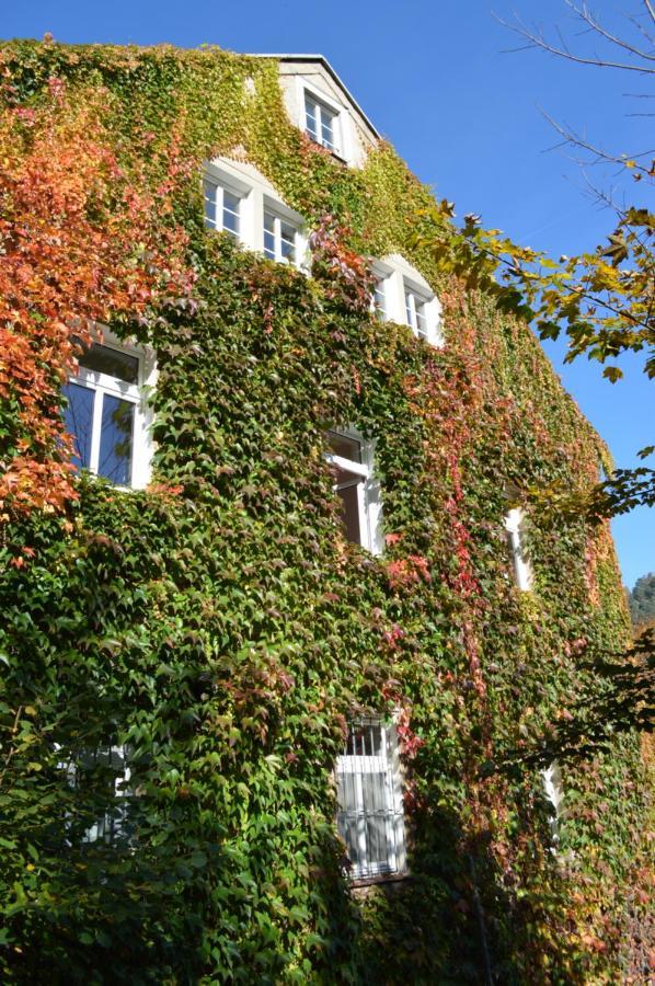Burg Schöna Schmilka Exterior foto
